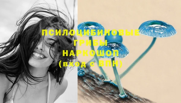 герыч Сясьстрой